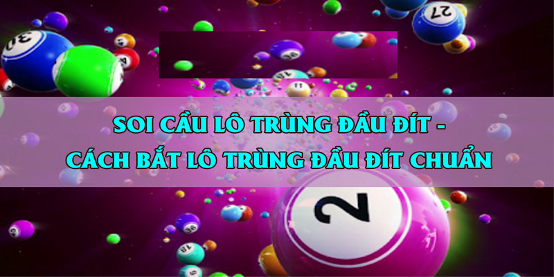 Tìm đầu câm đít câm để nuôi lô trong 3 - 4 ngày tiếp